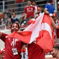 roligan med dannebrogsflag