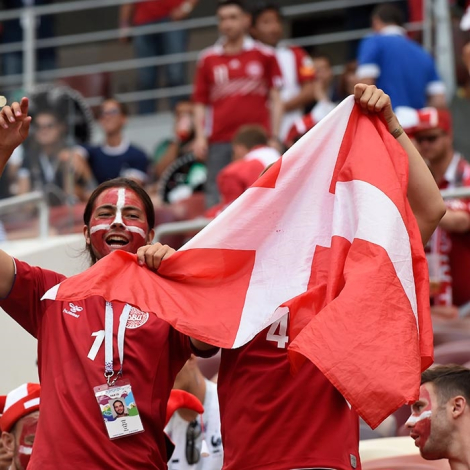 roligan med dannebrogsflag