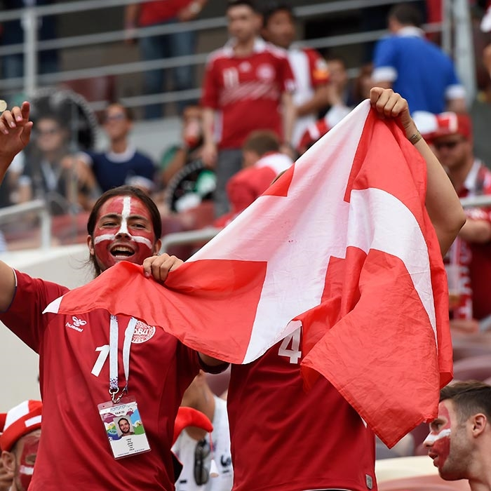 roligan med dannebrogsflag