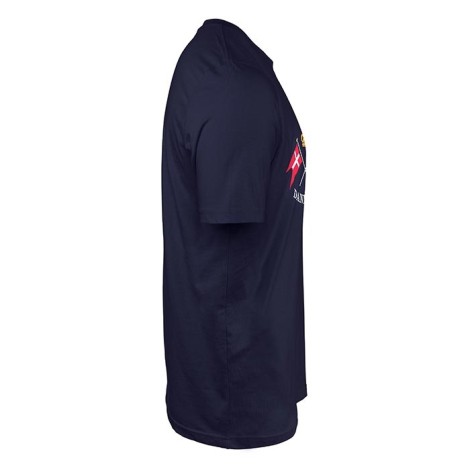 DANMARK t-shirt i navy-farver | Bestil på Roligan.dk