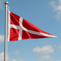 Dannebrog vimpel flag 30x90 cm – rød og hvid dansk vimpel på stang