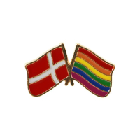 Fritlagt produktfoto af emaljenål med krydsede flag – Danmark og Pride – på ren hvid baggrund, der tydeligt viser farverne og guld-detaljerne.