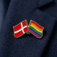 Nærbillede af venskabsnål med krydsede flag – Dannebrog og Pride – monteret på reverset af en mørkeblå uldblazer, der viser den blanke guld-kant og emaljens kvalitet.