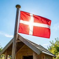 Et lille rektangulært dansk flag (30x39 cm) der blafrer i vinden fra en træmast på et legehus i haven.